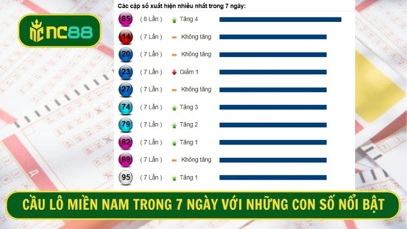 Cầu lô miền Nam trong 7 ngày với những con số nổi bật