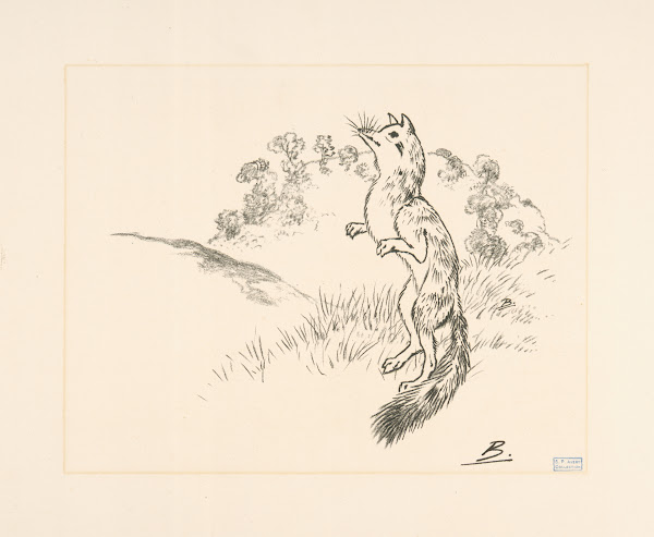 Un rennard sur ses pattes de derrière 1866   1878
