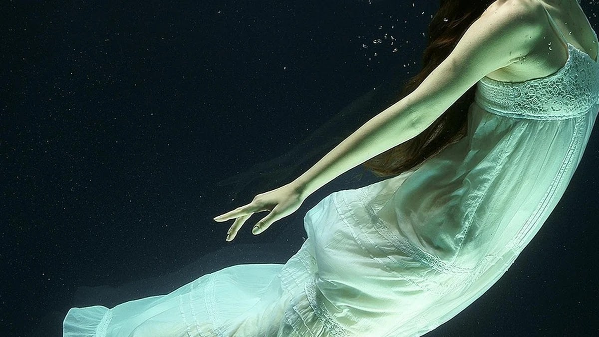 자유 개념의 역사적 변천과 사회적 맥락별 의미 차이