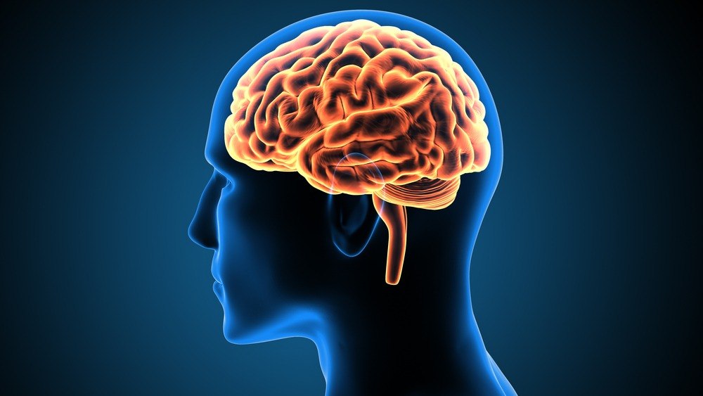 Hyderabad Expert Warns: Dehydration’s 5 Brain Harm Symptoms