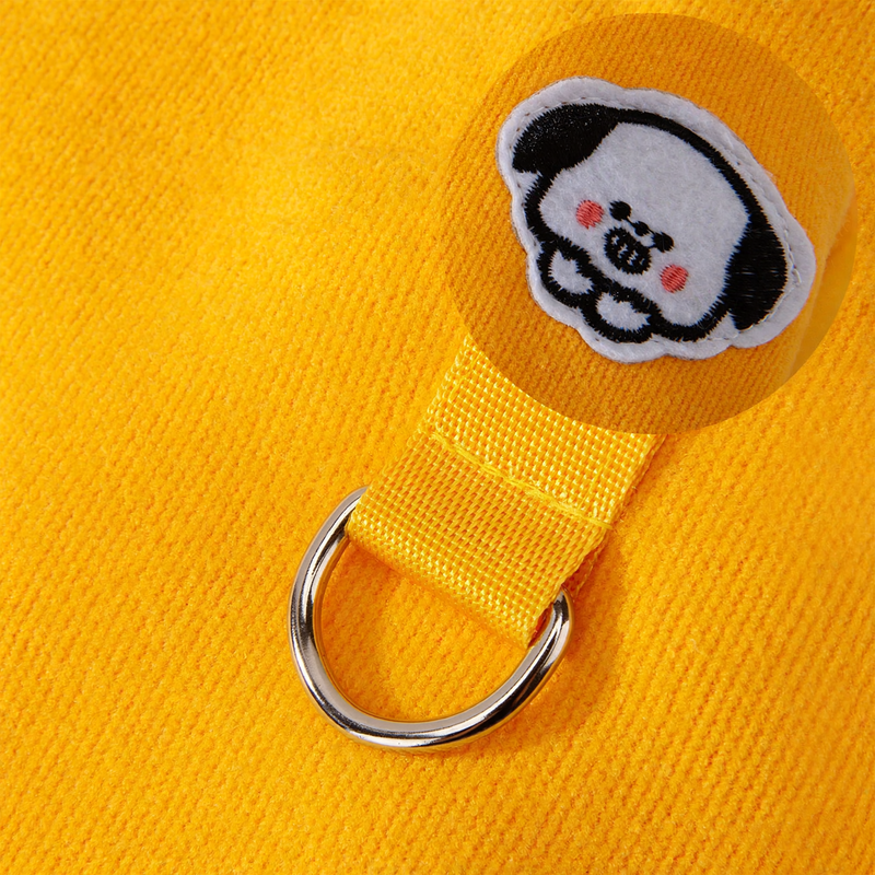Cartoon hoodie for dogs and cats with leash