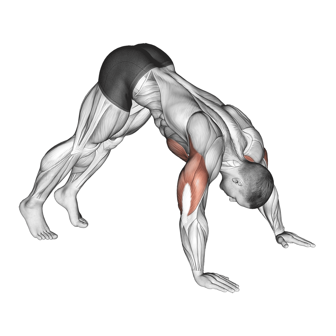 Pike Push-Up