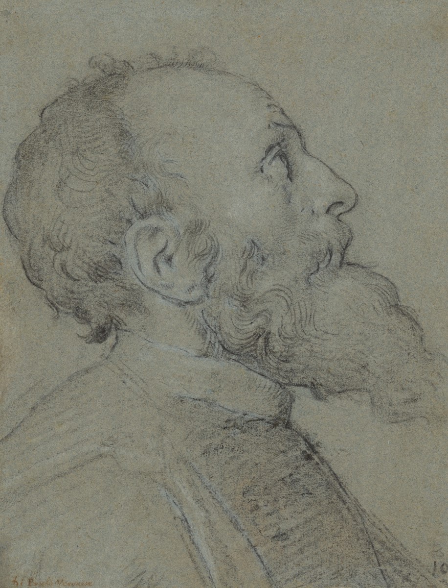 Head of a Bearded Man ca 1565