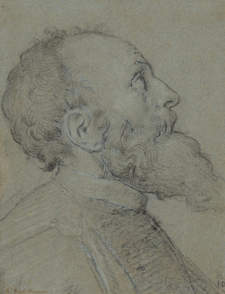 Head of a Bearded Man ca 1565