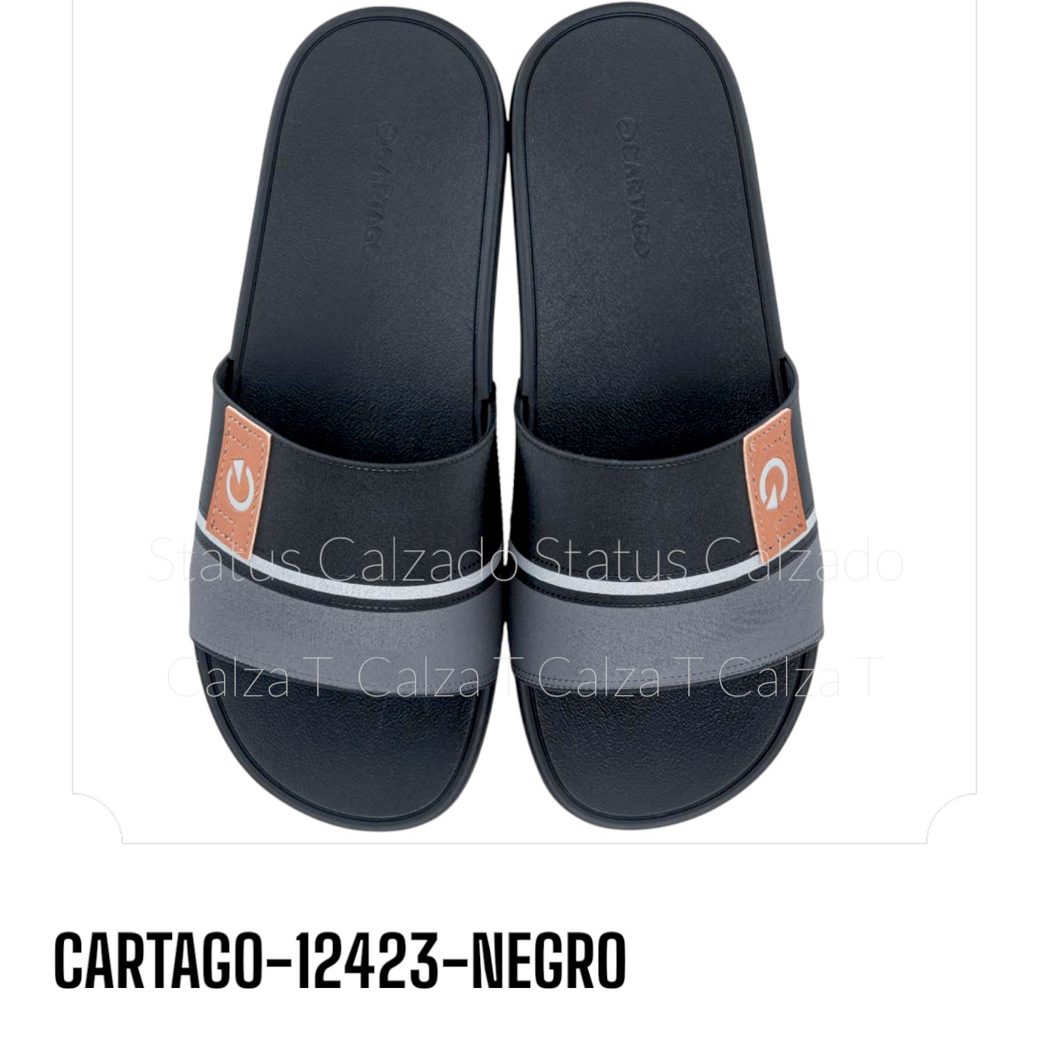 CARTAGO-12423-NEGRO