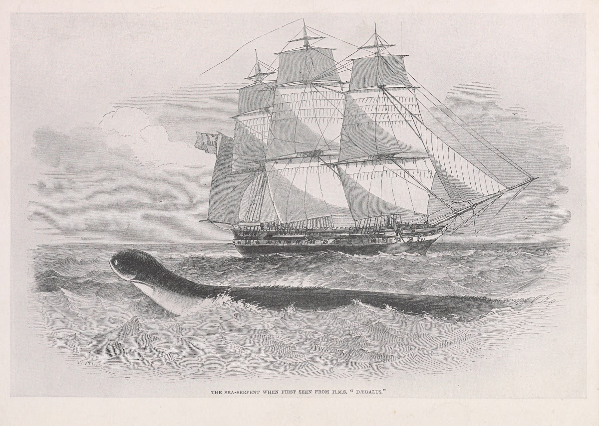 The sea serpent when first seen from HMS Dædalus