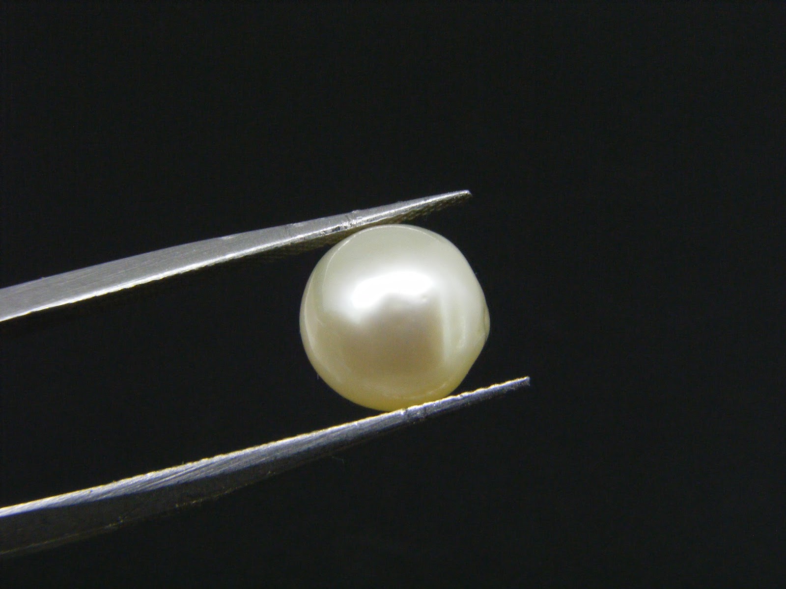 South Sea Pearl 4.88