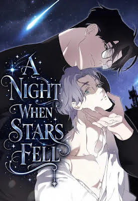 A Night When Stars Fell