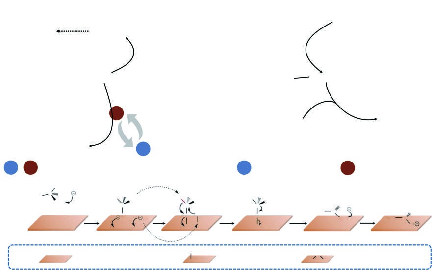A review of carbon-based catalysts and catalyst supports for simultaneous organic electro-oxidation and hydrogen evolution reactions