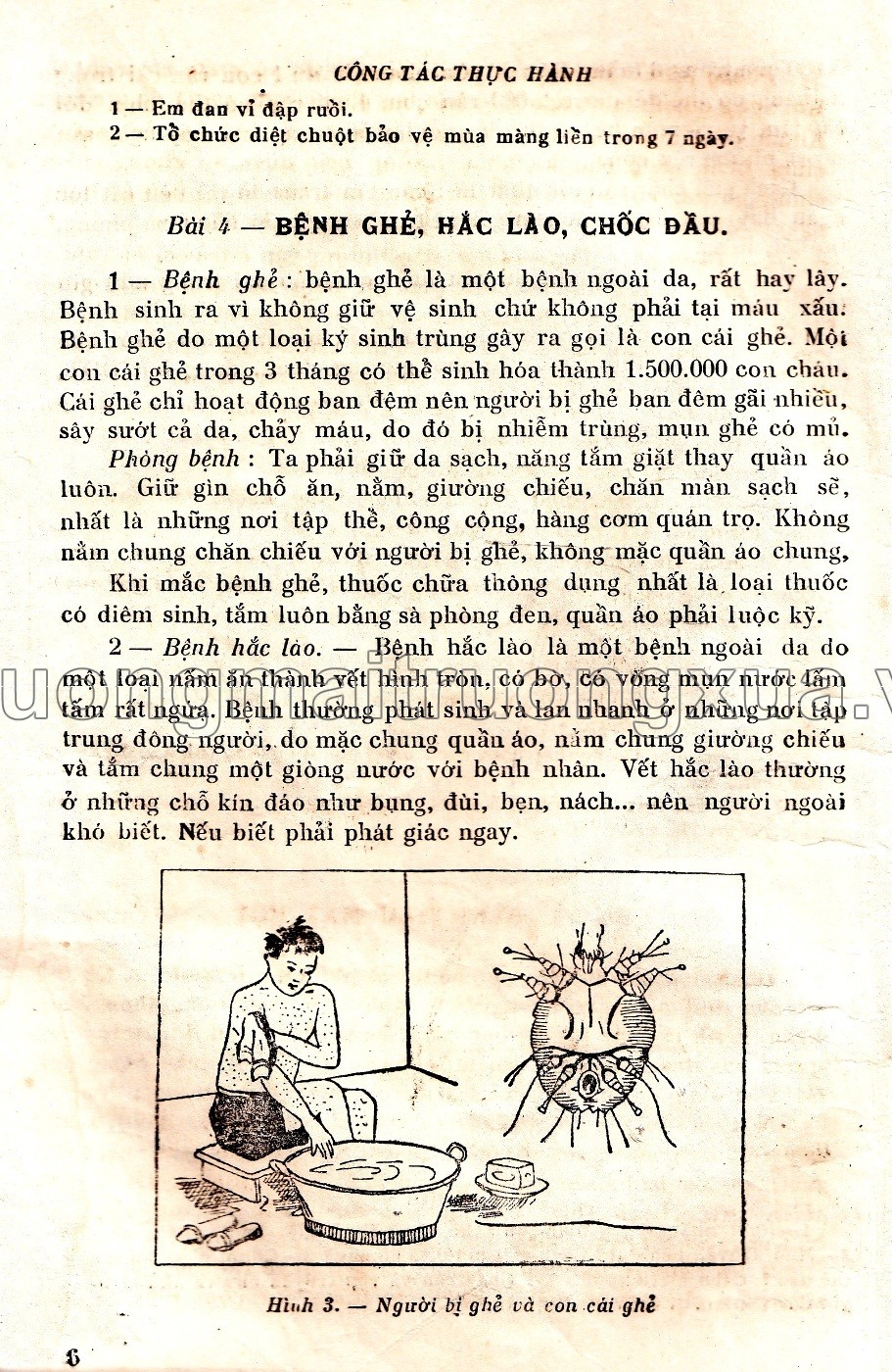 Khoa học thường thức lớp 4 phổ thông (tập 1 - 1959) - Trang 6