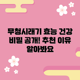 무청시래기 효능, 건강식품 추천, 제철 채소, 웰빙 트렌드, 다이어트 식단
