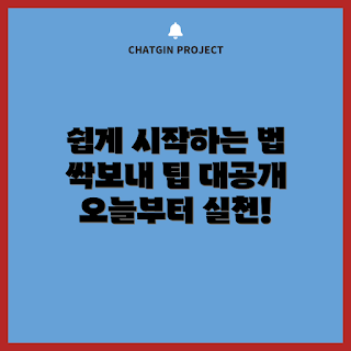 싹보내 방법, 식물 성장, 가드닝 팁, 실내 식물, 초보 가드너