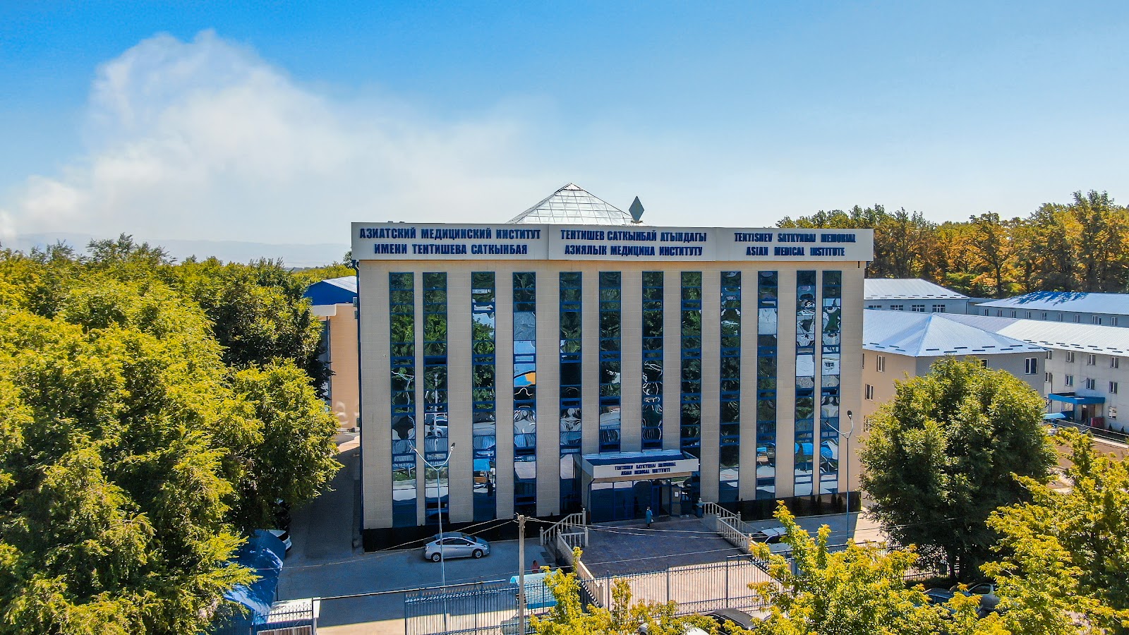 Asian Medical Institute