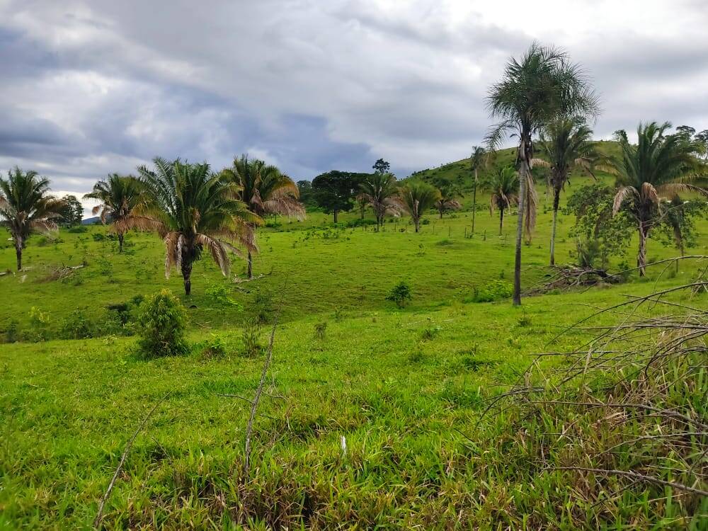 Fazenda no Município de Niquelândia - GO 2