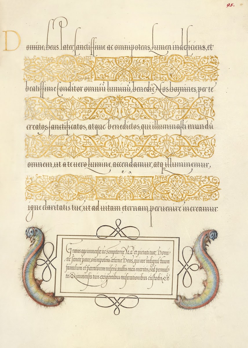 Caterpillars 15611596