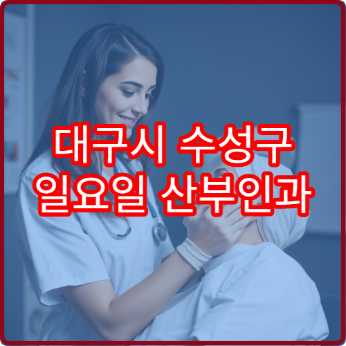 대구시 수성구 일요일 산부인과 진료 운영 병원 확인 가능한 자료