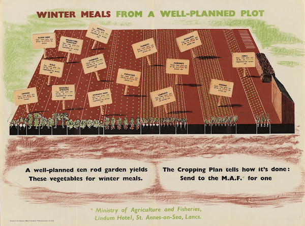 Winter Meals from a Well Planned Plot
