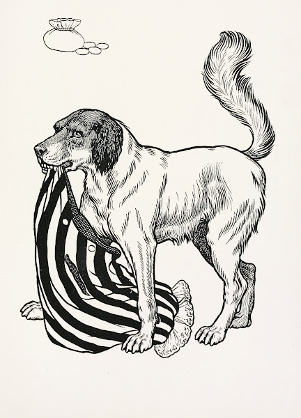 A hundred anecdotes of animals pl 054 1901