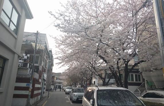 KCH2B — photo 25 of 35