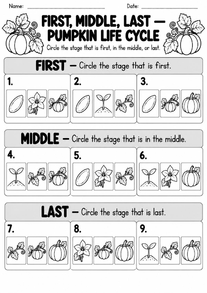Pumpkin Life Cycle First Middle Last Worksheet