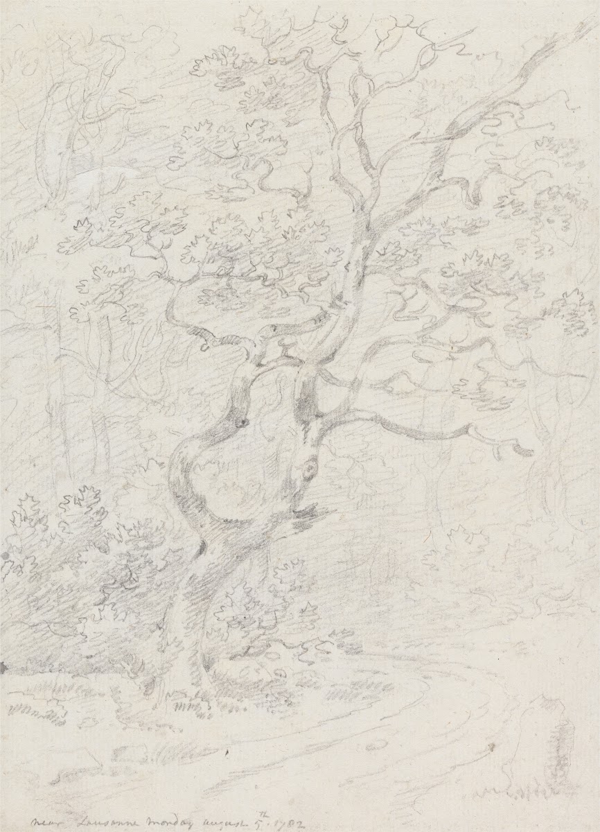 Trees Near Lausanne 1782