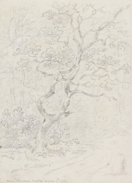Trees Near Lausanne 1782