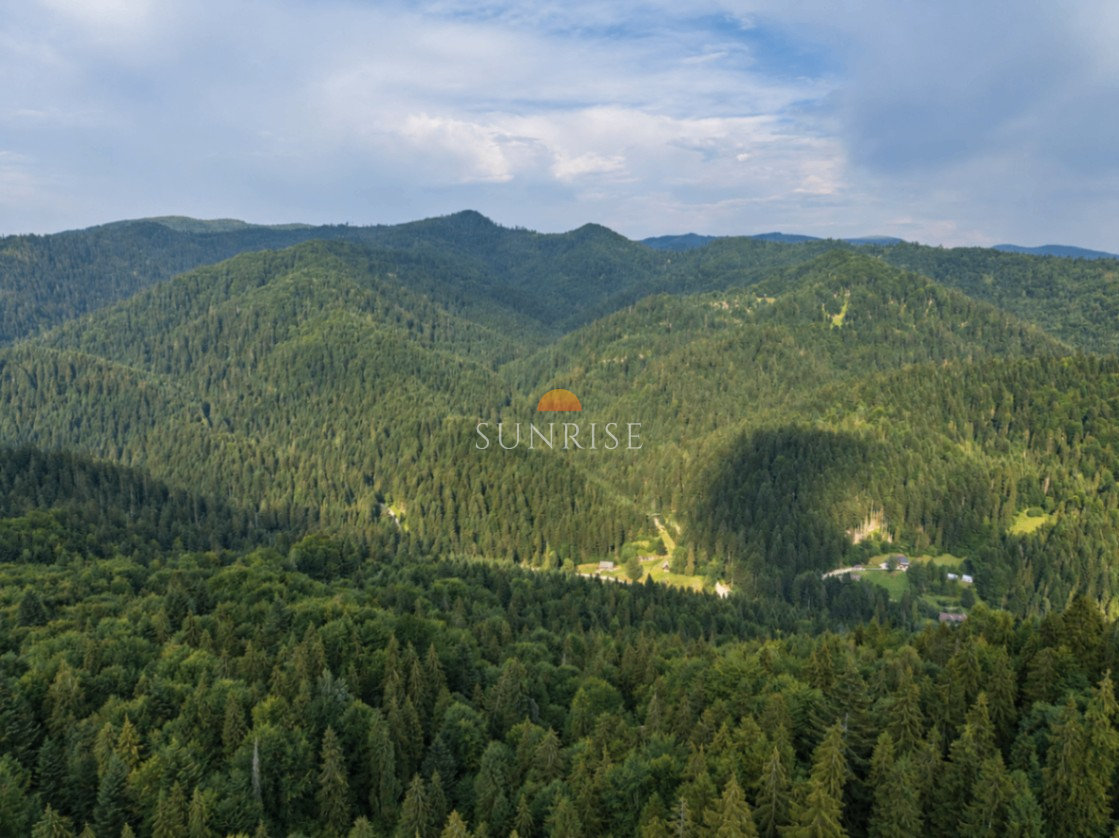 Działka leśna 48,75 a | Szczawnica | 80 000 zł — zdjęcie 2