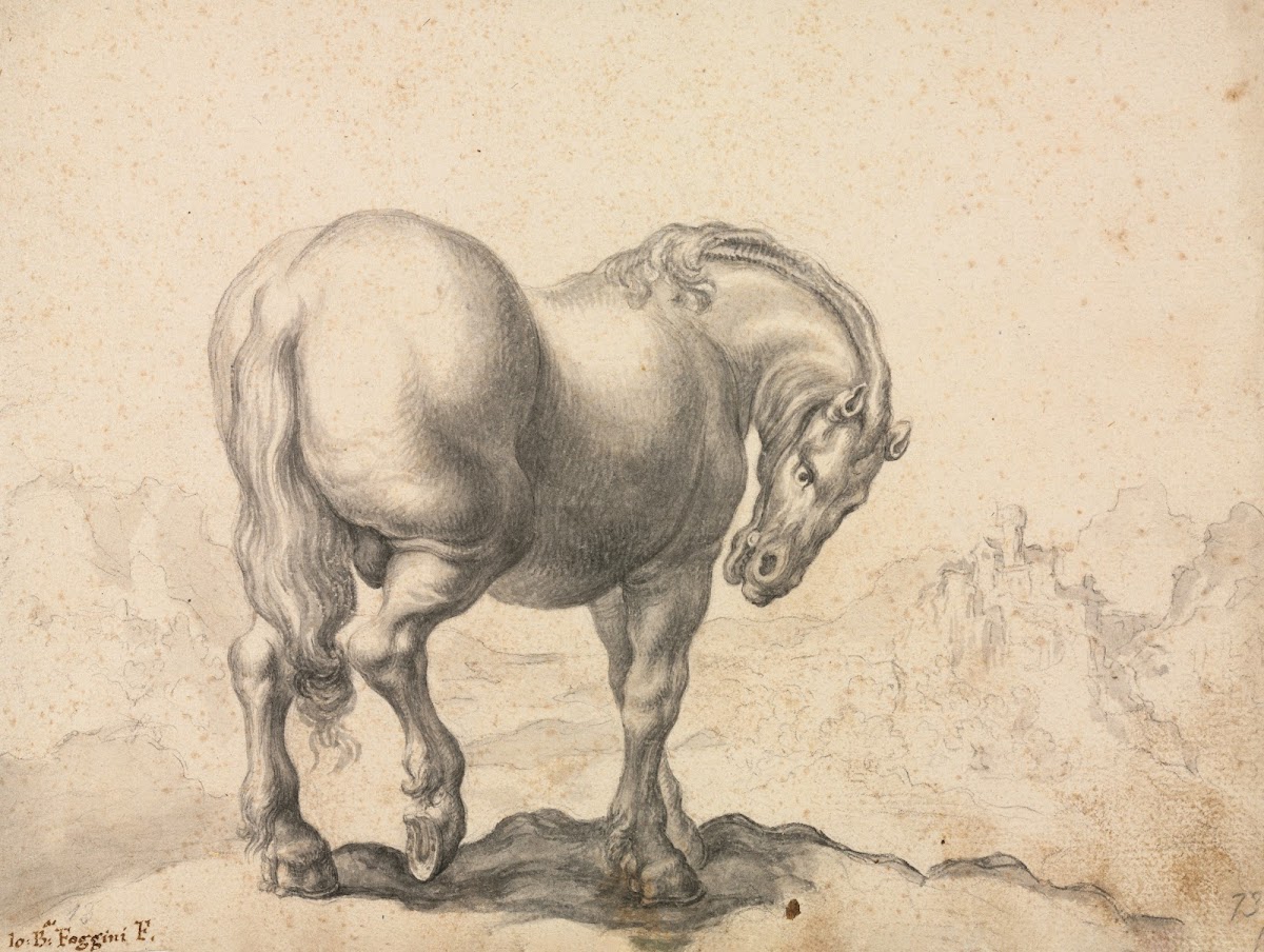 Study of a Stallion first third 18th century