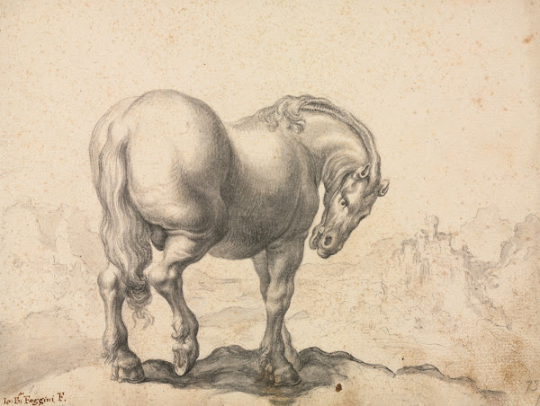 Study of a Stallion first third 18th century