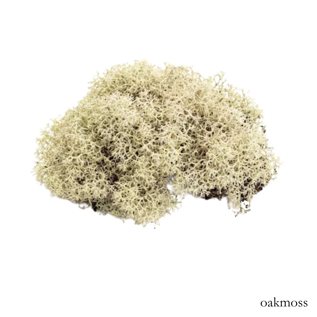 Oakmoss