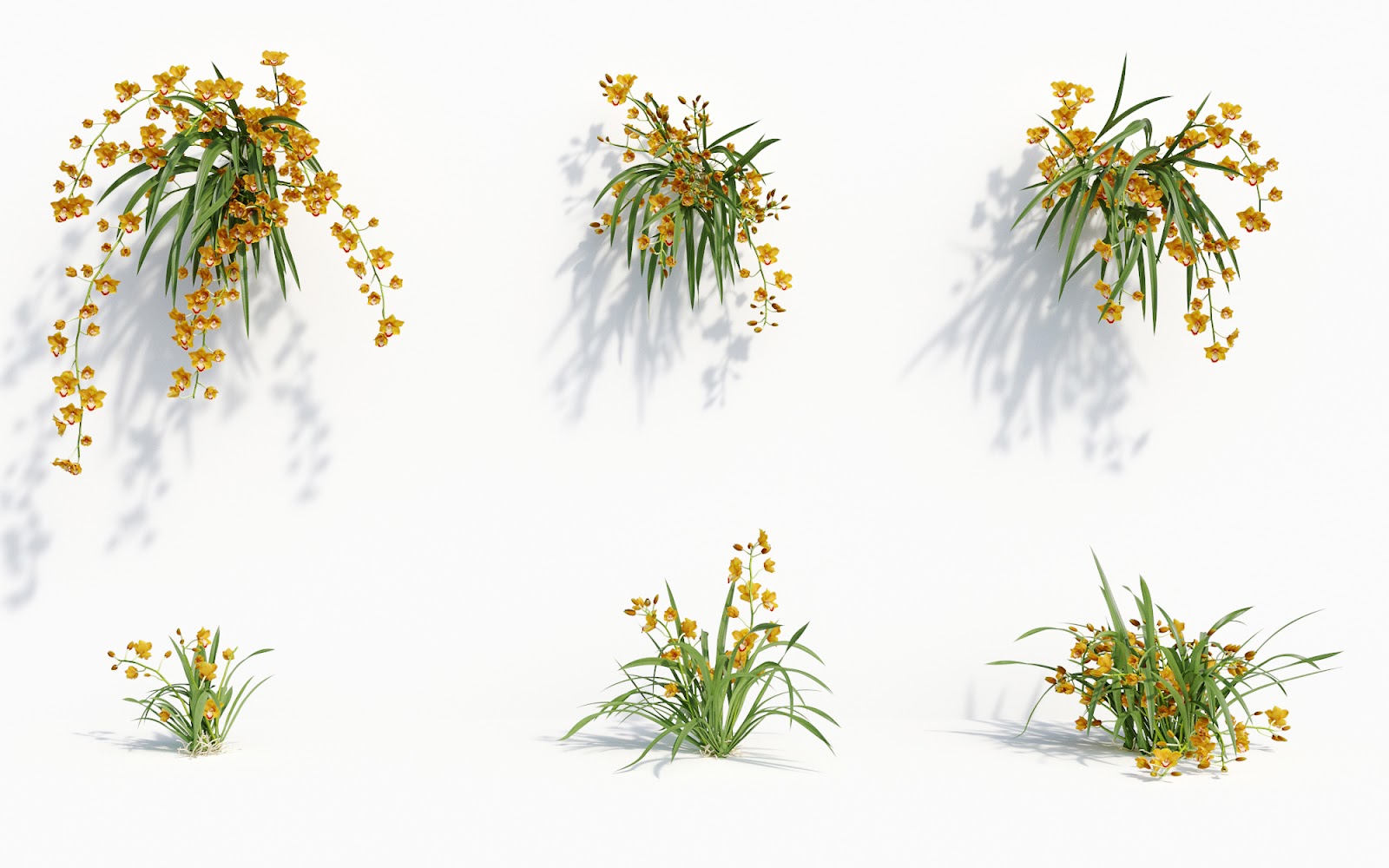 Maxtree - Plant Models Vol.8