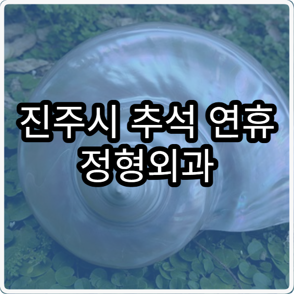 진주시 추석 연휴 정형외과 진료 병원 쉽게 찾는 방법