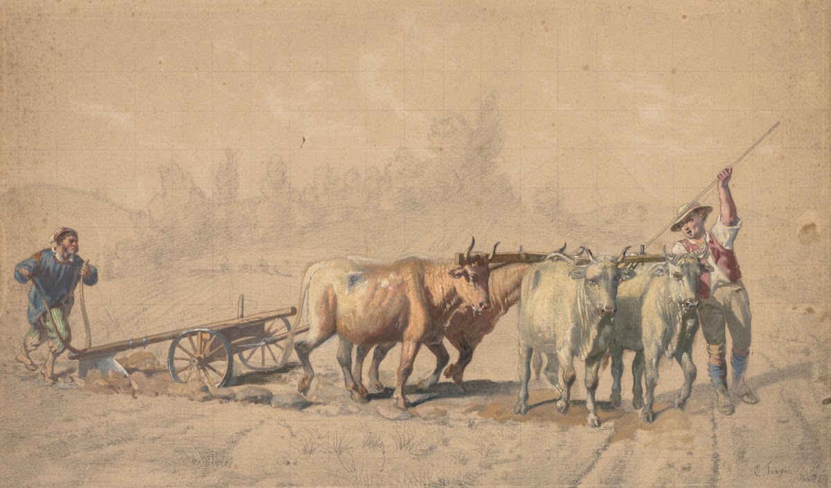 Four Oxen Pulling a Plough 1853