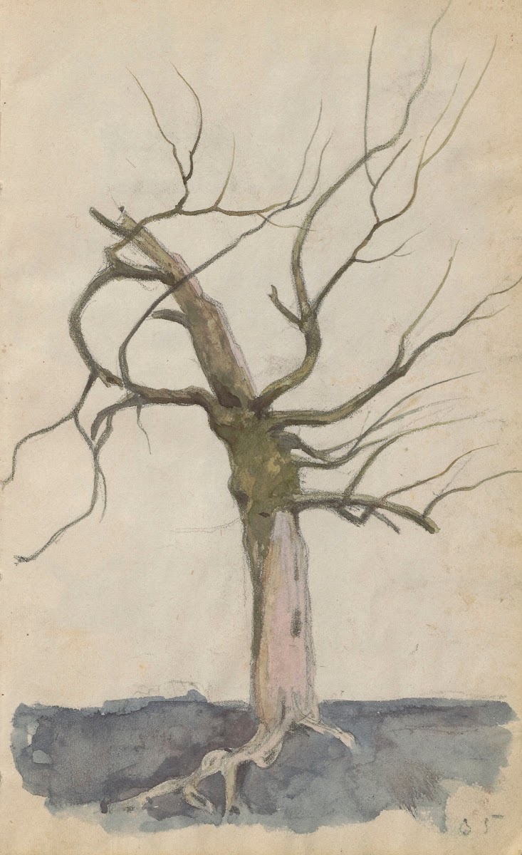 Leafless tree 1885