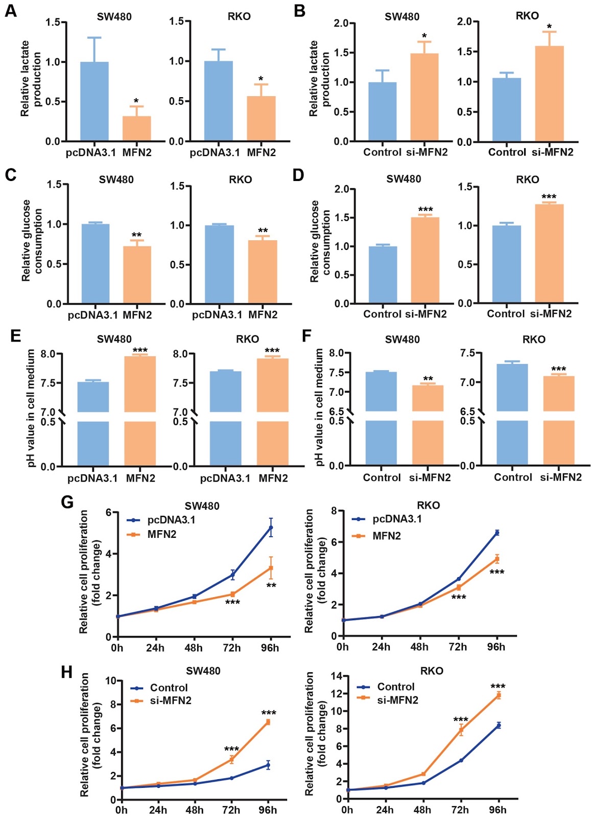 miR-373-3p promotes aerobic glycolysis in colon cancer cells by targeting MFN2