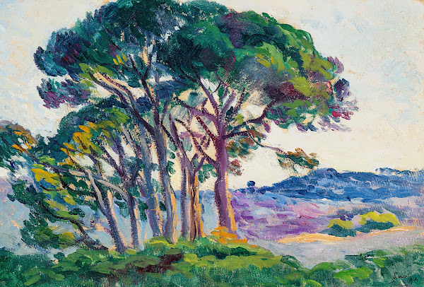 Pins aux Canebiers 1903