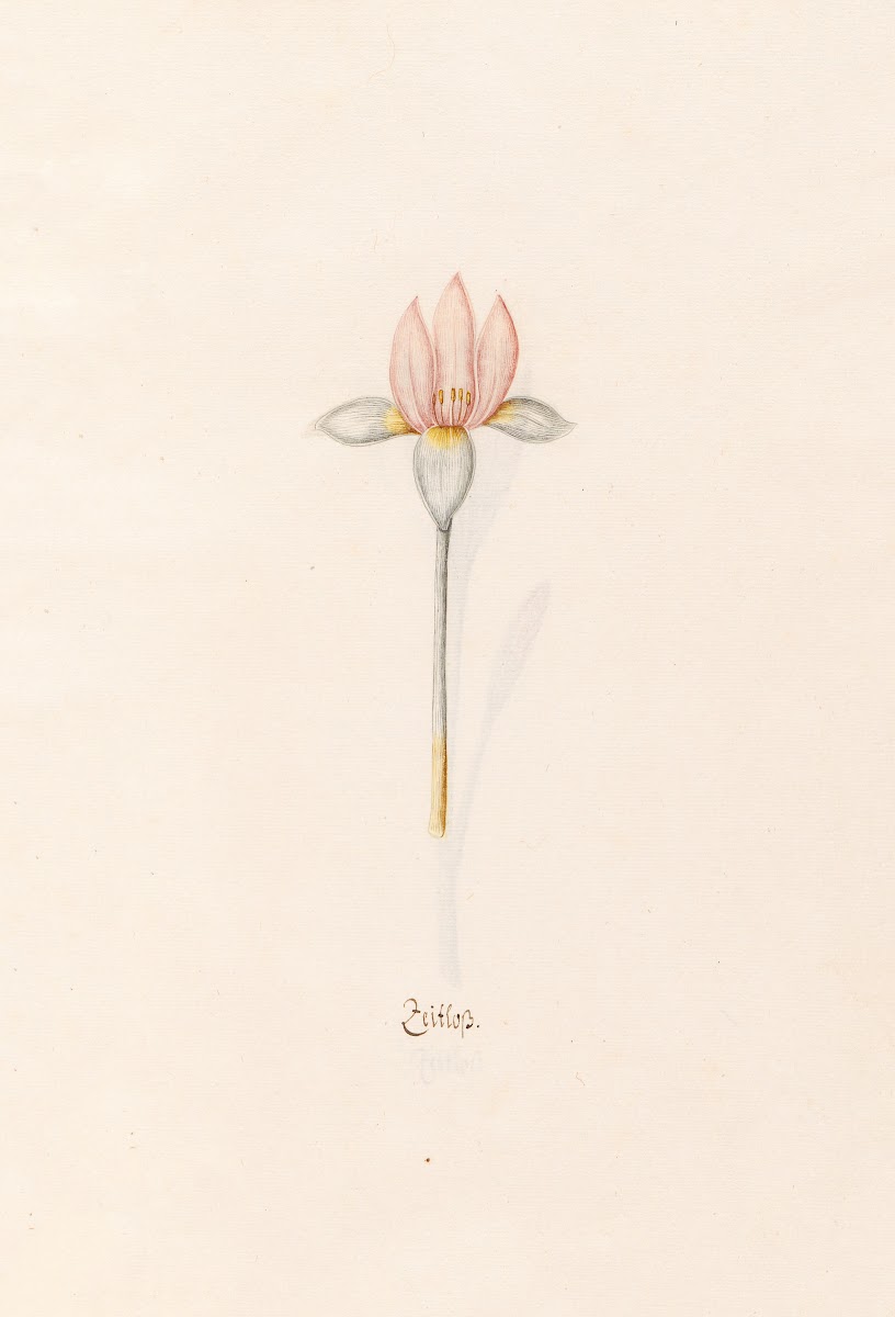 Zeitloss 1692