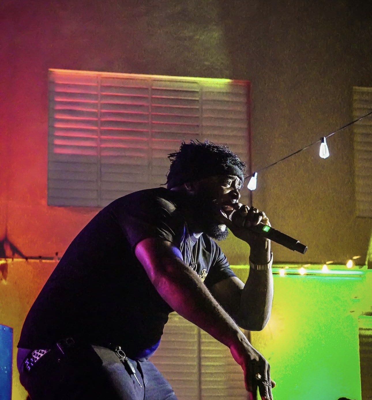 Concert atmosphere, Crimson Red: The Lion Order