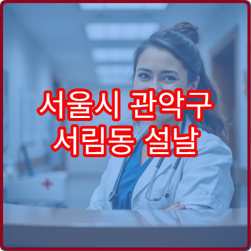 서울시 관악구 서림동 설날 명절 연휴 당직약국 서림로·성현초등학교 인근 심야 운영 감기약 취급 약국