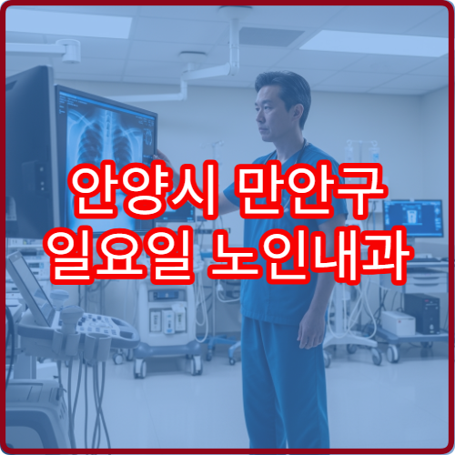 안양시 만안구 일요일 노인내과 진료 병원 낙상·혼수상태 상담 가능