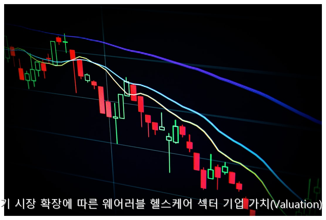 글로벌 EMS 기기 시장 확장에 따른 웨어러블 헬스케어 섹터 기업 가치(Valuation) 정밀 비교 분석 핵심 안내 및 분석 인포그래픽 (5)