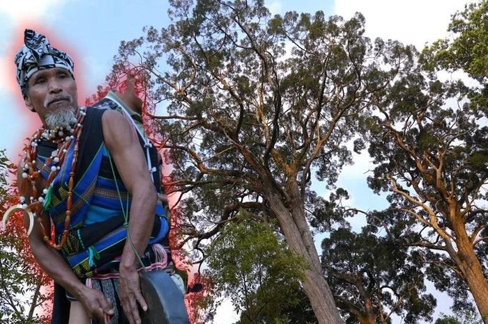 KKhám phá bí ẩn đại ngàn Pơ Mu và lời thề giữ rừng thiêng của đồng bào Cơ Tu - Báo VietnamPlus