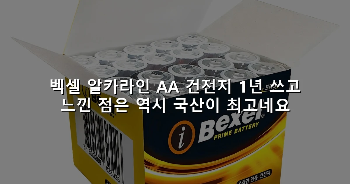 벡셀 알카라인 AA 건전지 1년 쓰고 느낀 점은 역시 국산이 최고네요