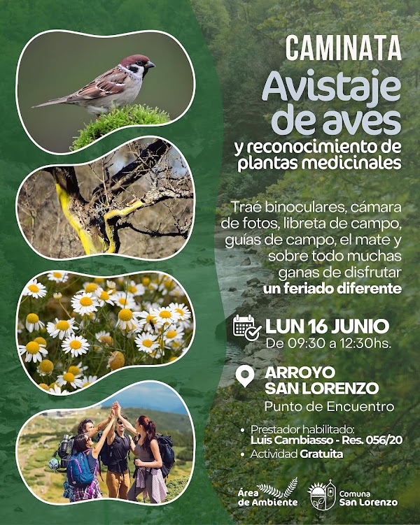 Caminata Avistaje de aves y plantas