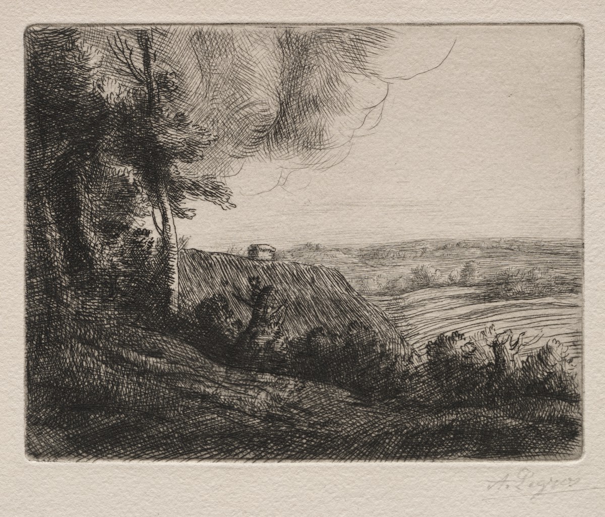 Landscape 2 c 18571911