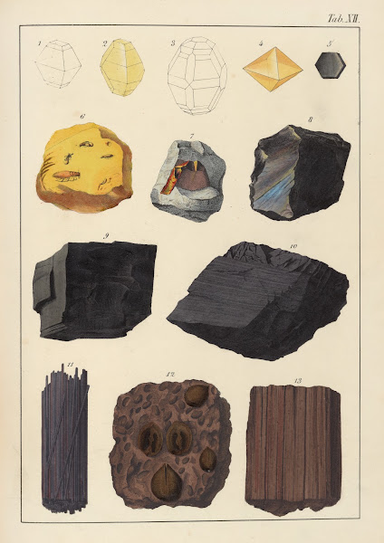Plate XII Sulphur Honey Stone Graphite Coal Lignite 1859
