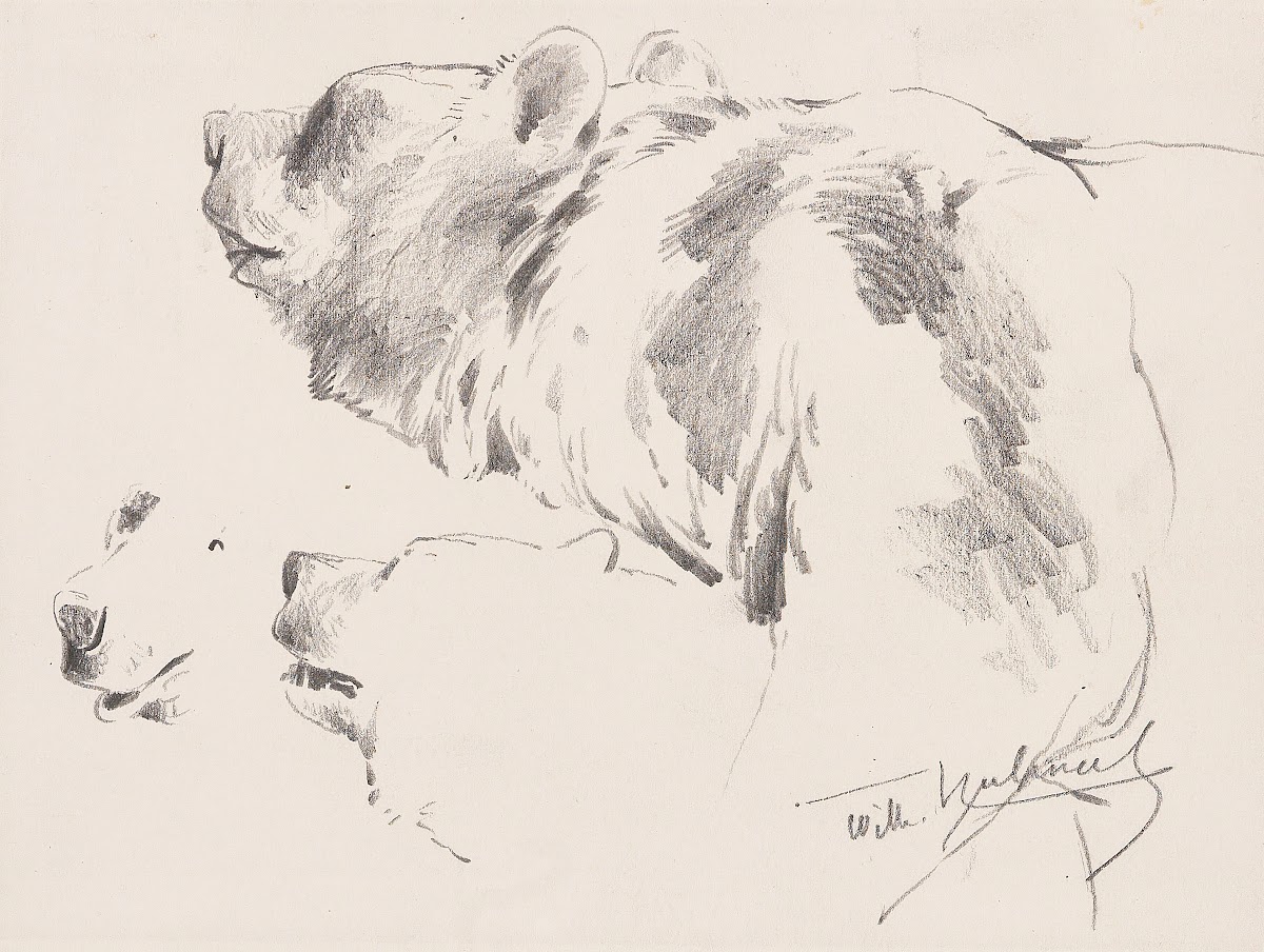 Bären Studien 1900