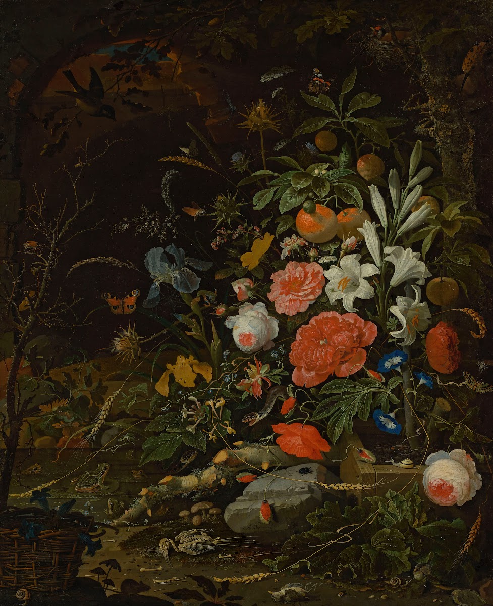 Flowers and tiny creatures  Vanitas