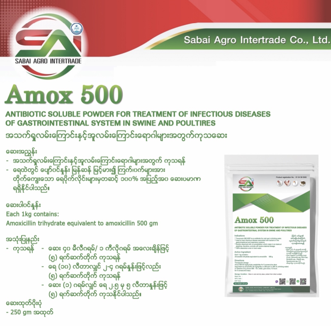 Amox 500 Datasheet