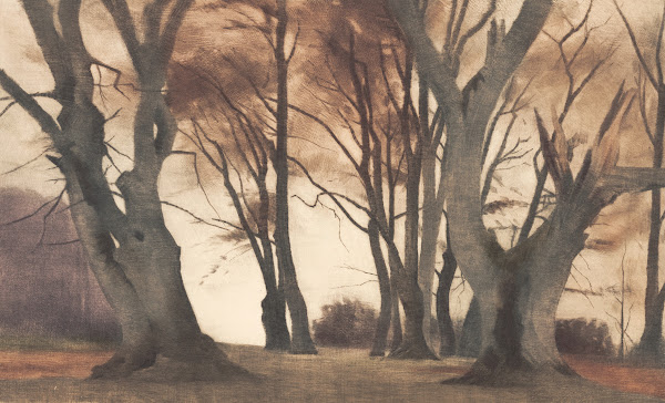 Bøgetræer i Ermelunden 1924